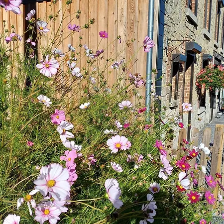 La Maison D'anne-marie